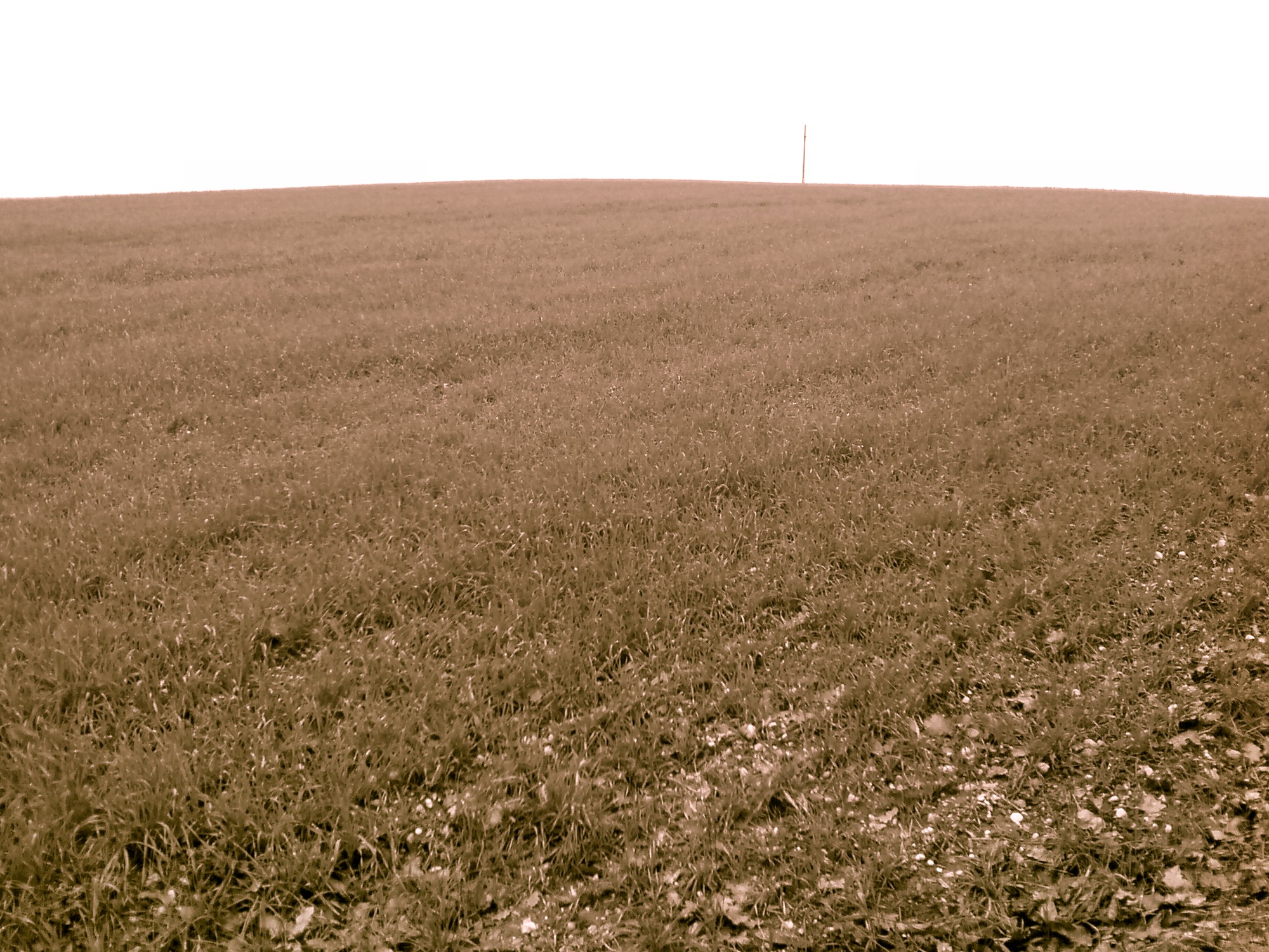 emptiness
